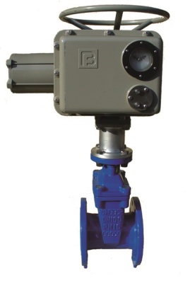 Задвижка с обрезиненным клином фланцевая ABRA с электроприводом Regada В Новокузнецке